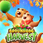 Groundhog Harvest